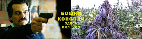 ECSTASY Саяногорск