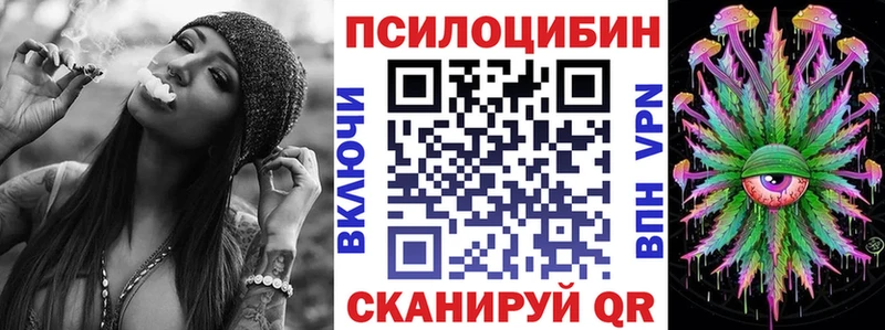Купить закладки  Чистополь  Псилоцибиновые грибы Psilocybine cubensis 